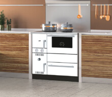 Alfa Plam Alfa Term 20